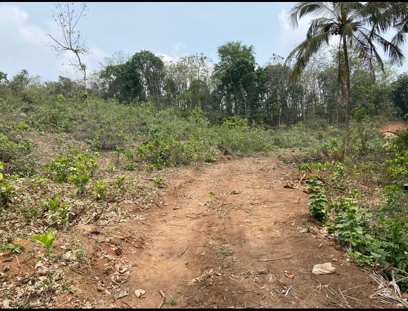 THRISSUR PALAKKAD  NATIONAL HIGHWAY NEAR LAND FOR SALE