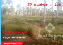 Housing Plot,Engadiyur,Thrissur