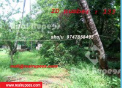 Housing Plot ,Kuriachira,Thrissur