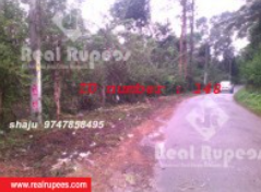 Agricultural Land ,Vaduvanchal,Wayanad