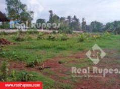 Housing Plot,Vellani,Thrissur