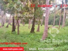 Housing Plot,Padinjattmuri,Thrissur