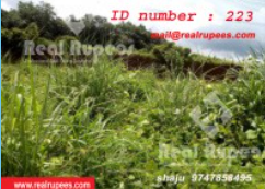 Housing Plot Mannampetta,Thrissur