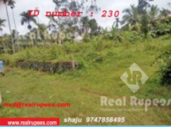 Housing Plot Kalpeta,Wayanad