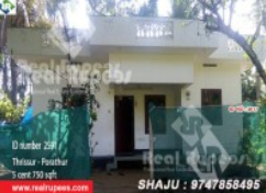 House Alapadu,Thrissur