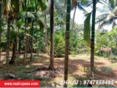 Land Kannara,Thrissur