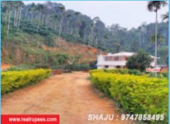 Agricultural Land Ambalavayal,Wayanad