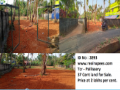 Land Pallissery,Thrissur