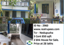 House Nedupuzha,Thrissur