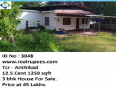 House Anthikad,Thrissur