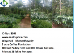 Land Manathavady,wayanad