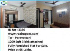 Flat Paravattani,Thrissur