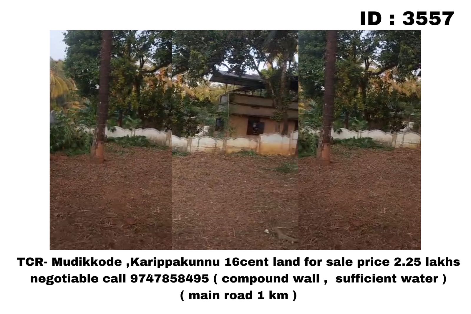 TCR- Mudikkode ,Karippakunnu 16cent land for sale 