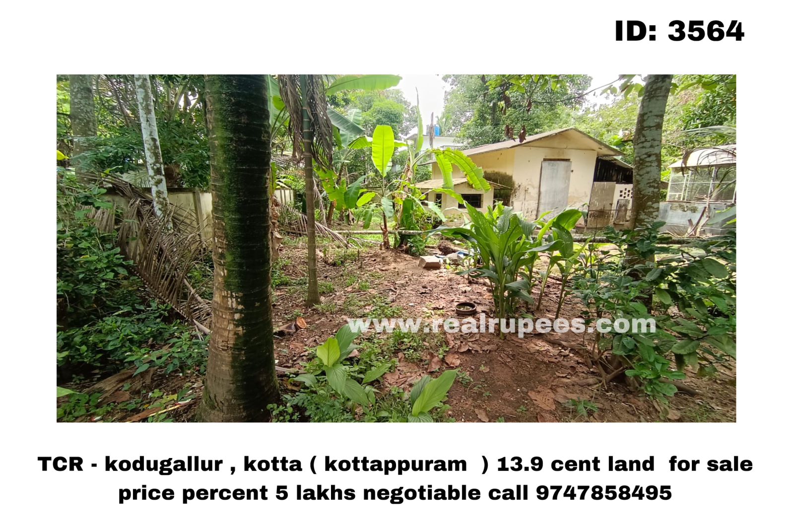 TCR - kodugallur , kotta ( kottappuram  ) 13.9 cent land  for sale 