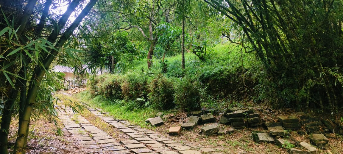 MANANTHVADY | LAND FOR SALE | WAYANAD |