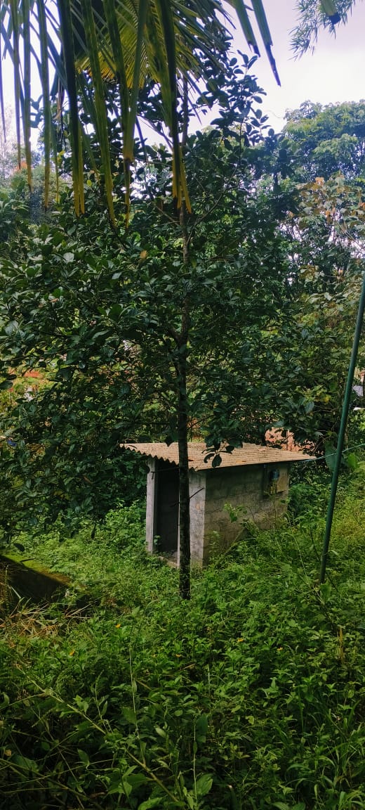 Small Image