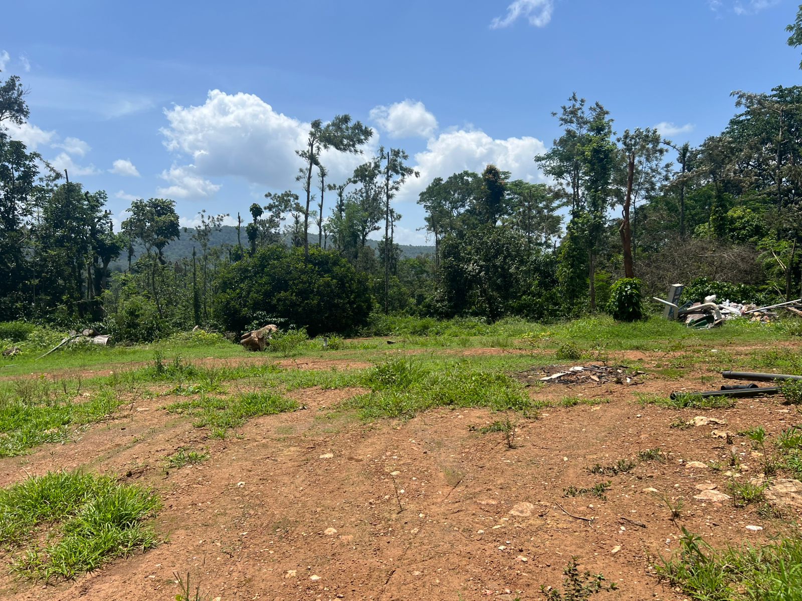 WAYANAD RESORT FOR SALE | 34 ACRE a