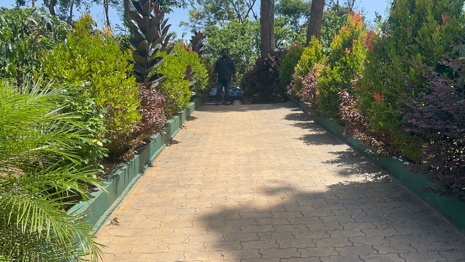Small Image
