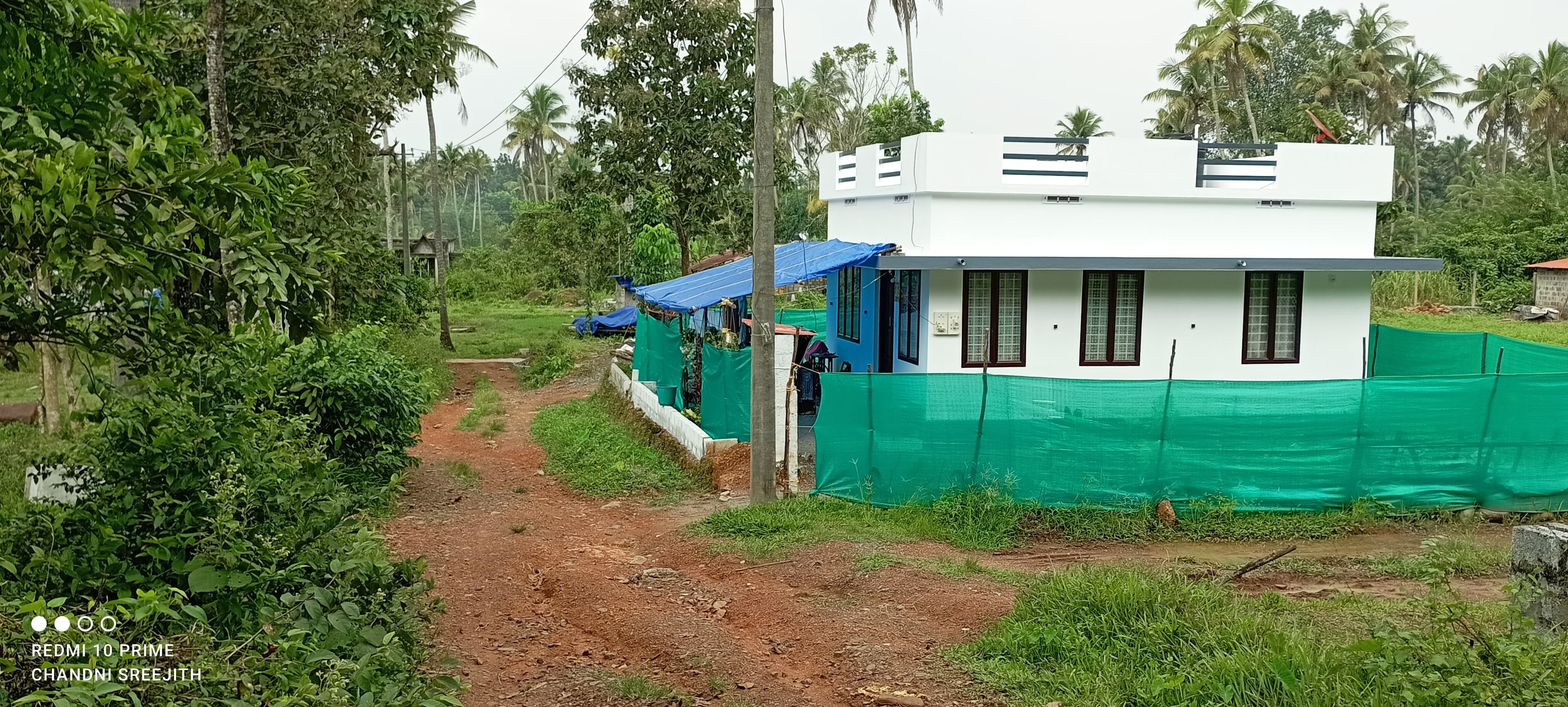 Small Image