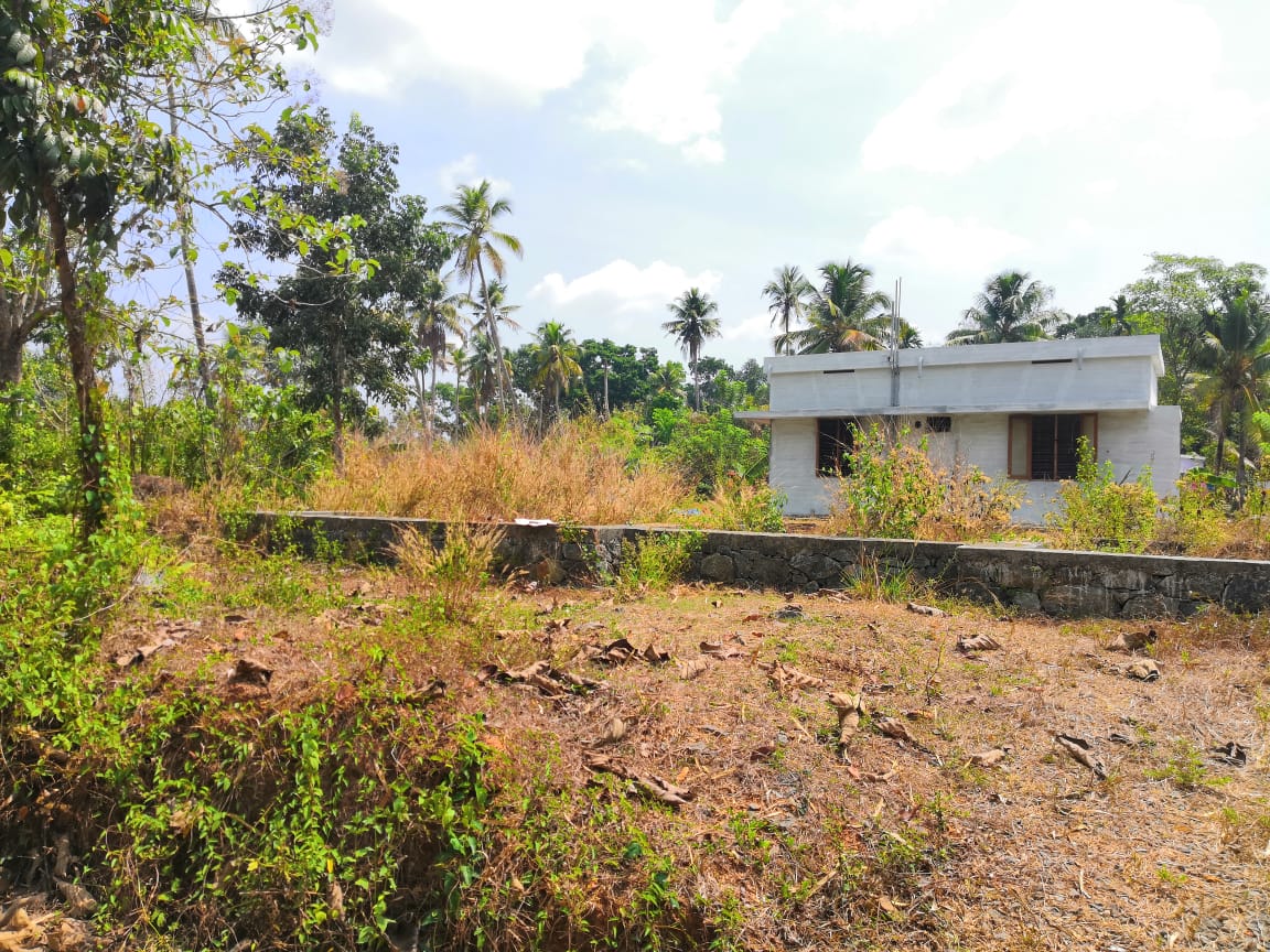 Small Image
