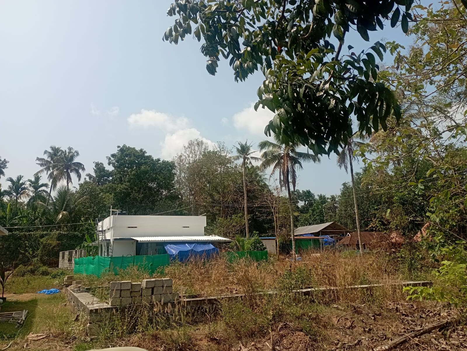 Small Image