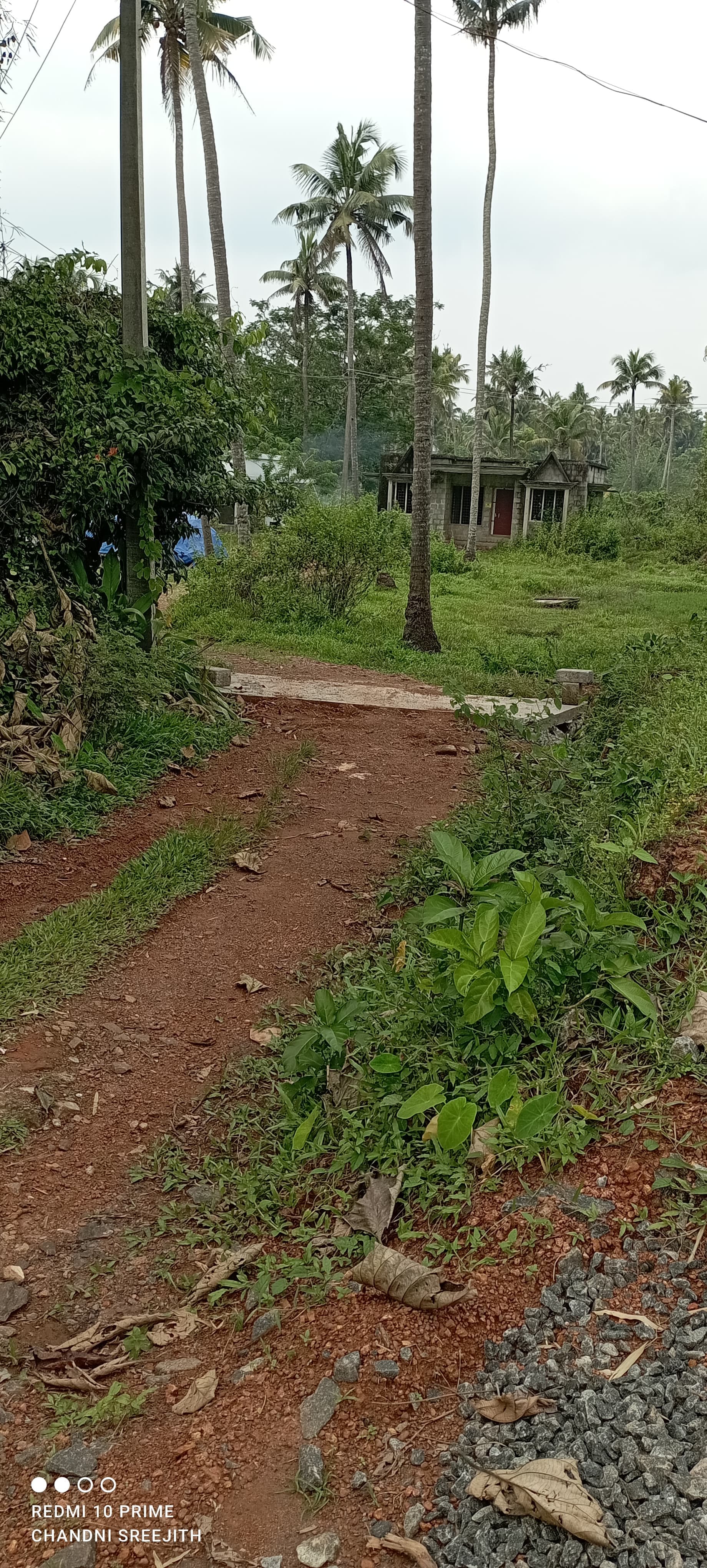 Small Image