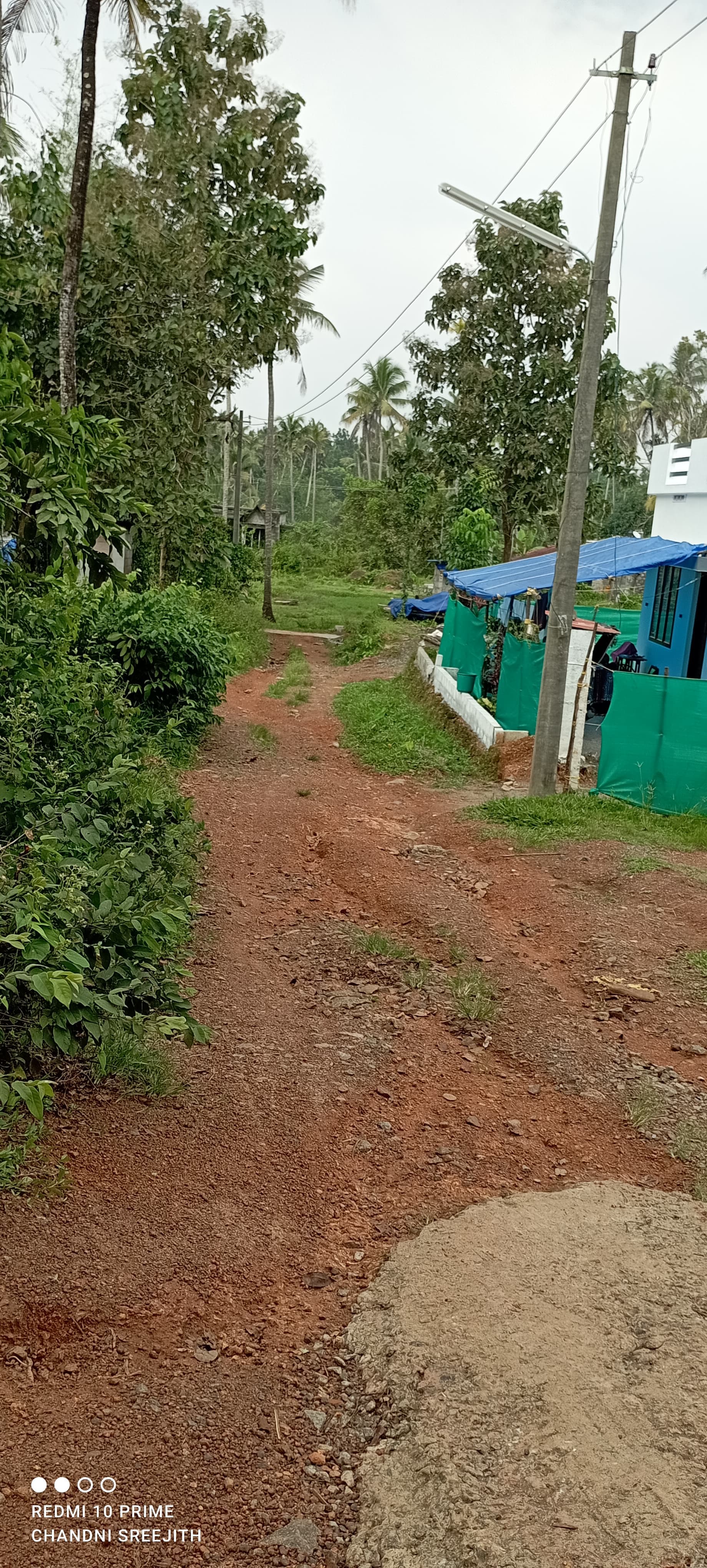 Small Image