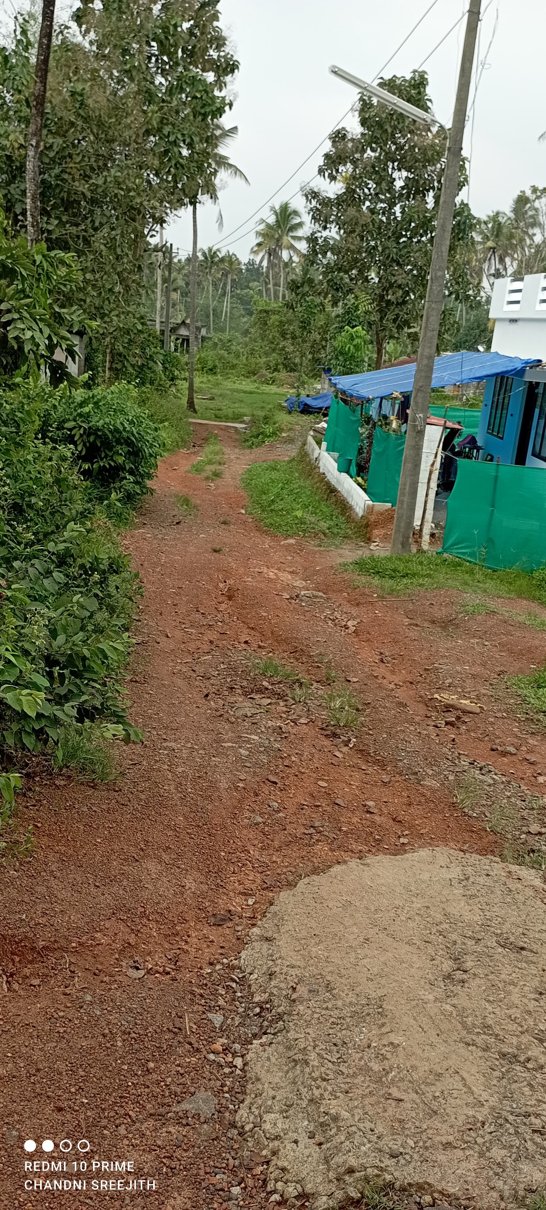 Small Image