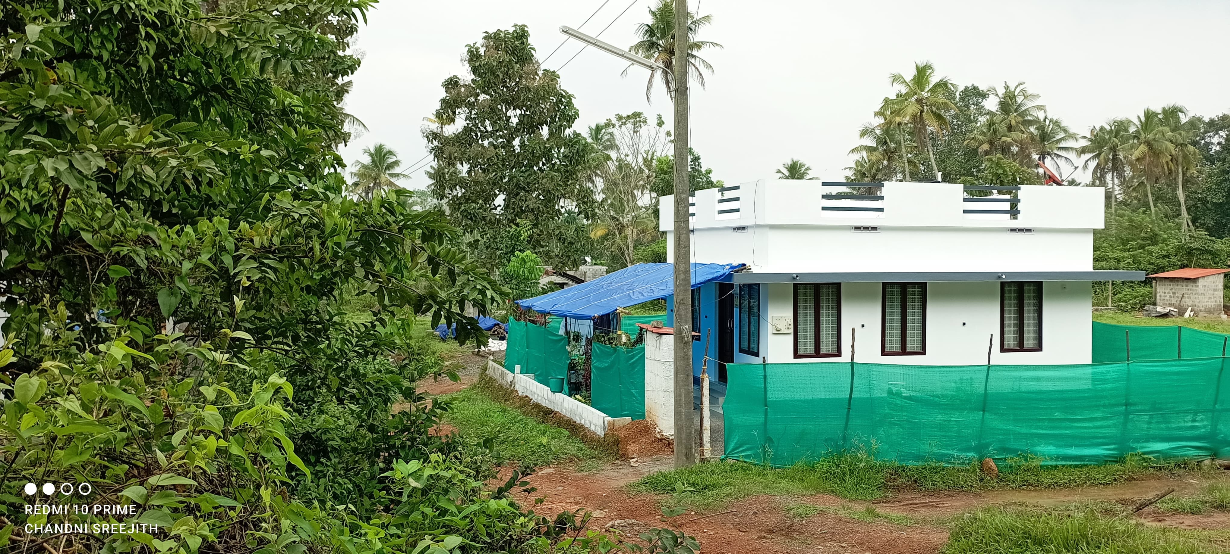 Small Image
