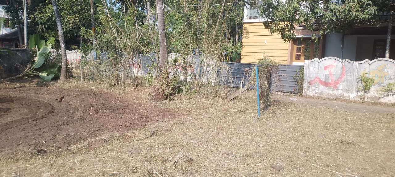 LAND FOR SALE | NATTIKA |