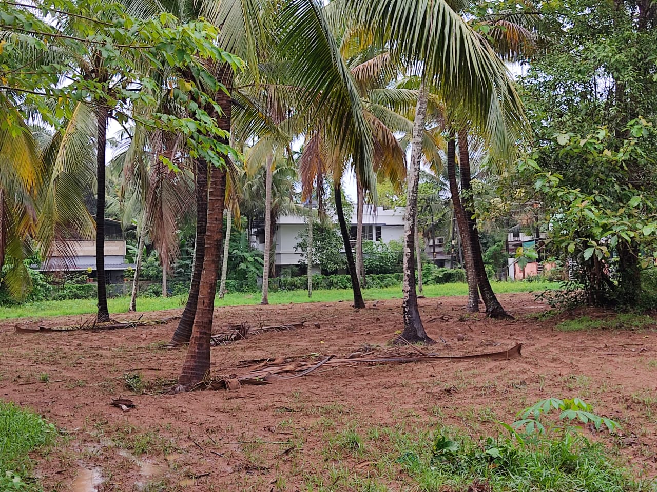 LAND FOR SALE IN THRISSUR PERUVALLUR 