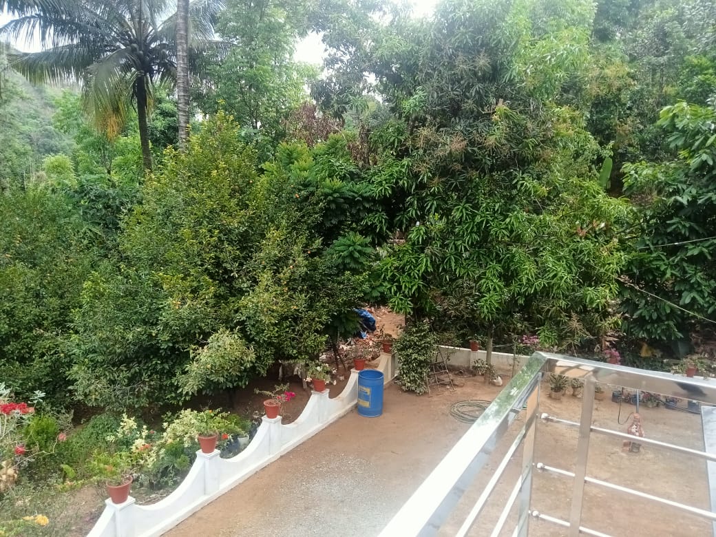 Small Image