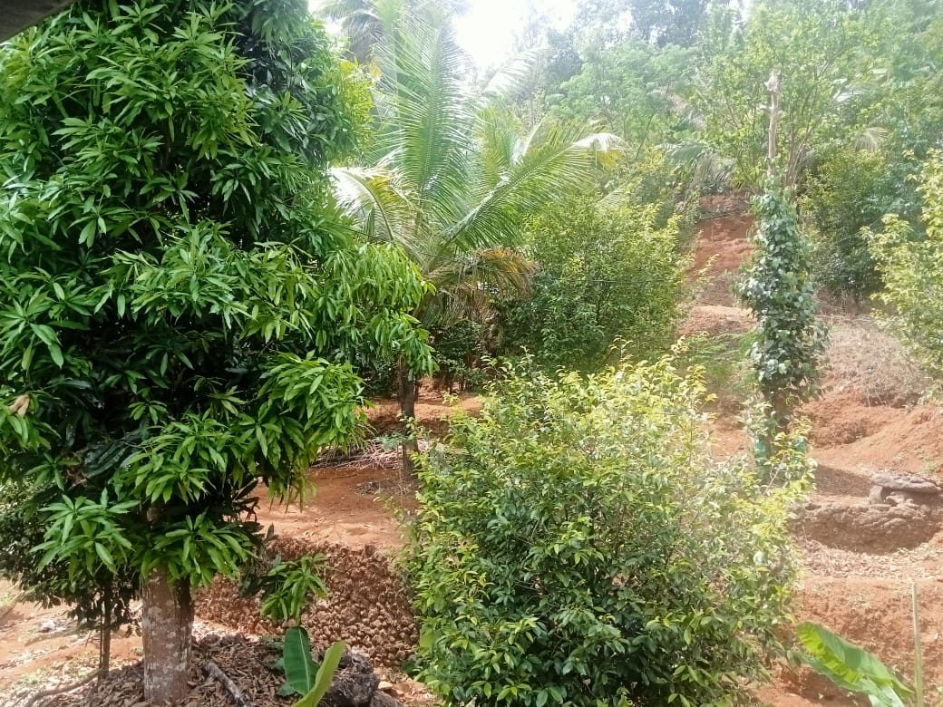 Small Image