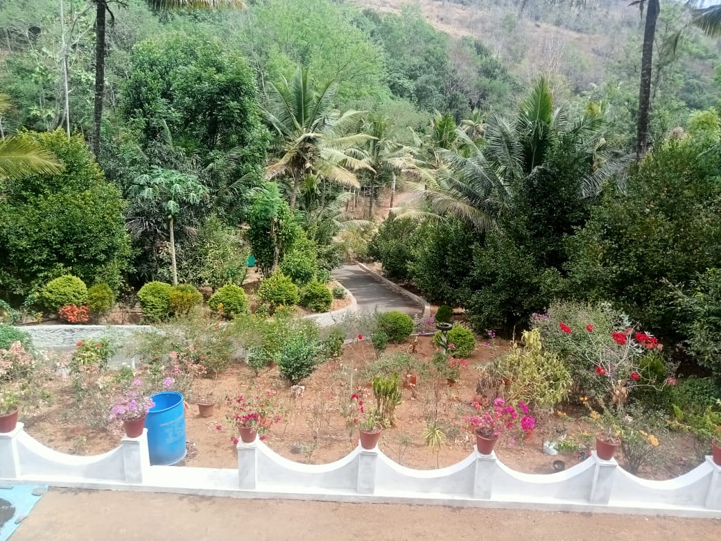 Small Image