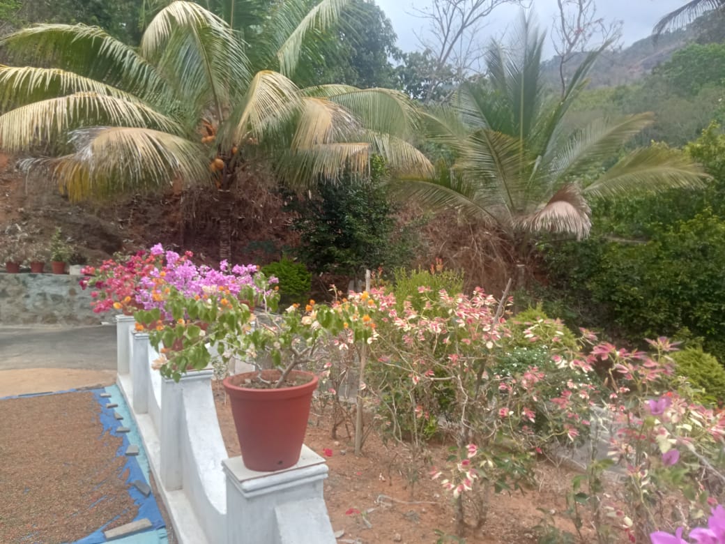 Small Image