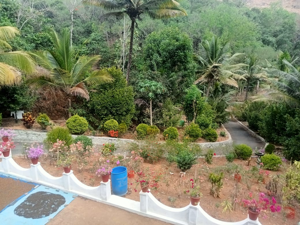 Small Image