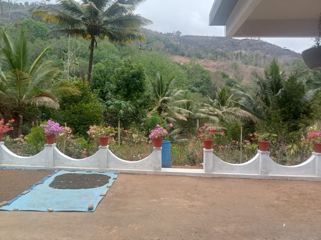 Small Image