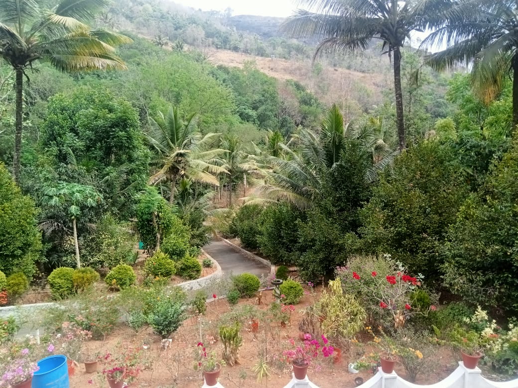 Small Image