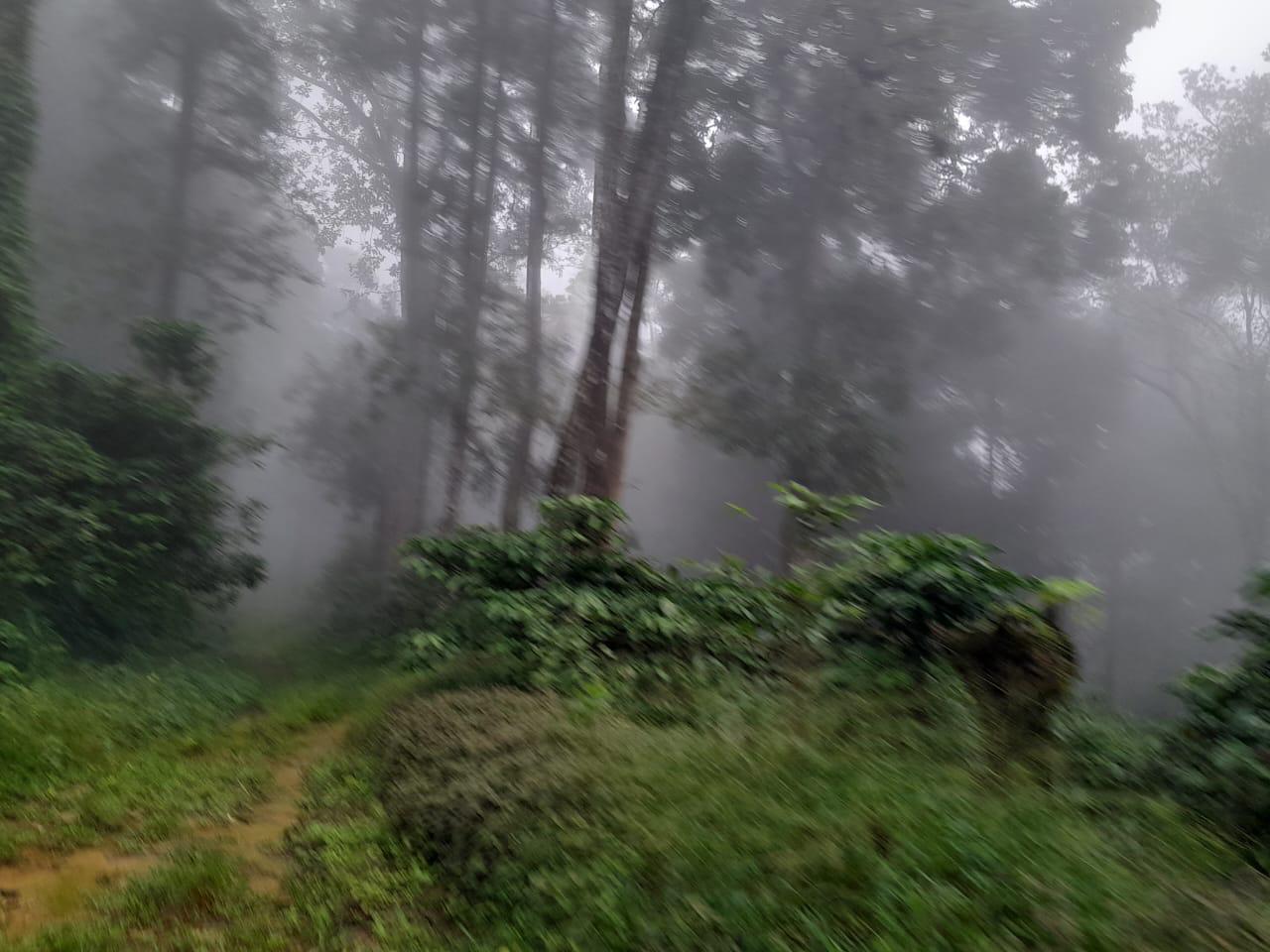 Small Image