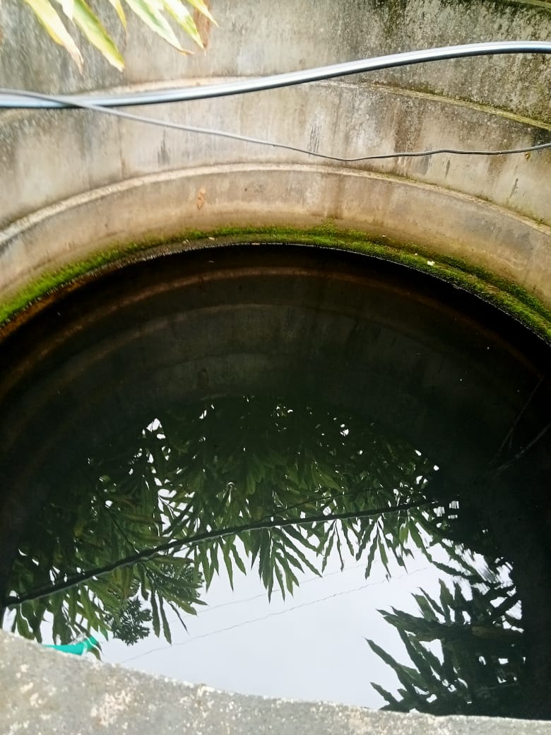 Small Image