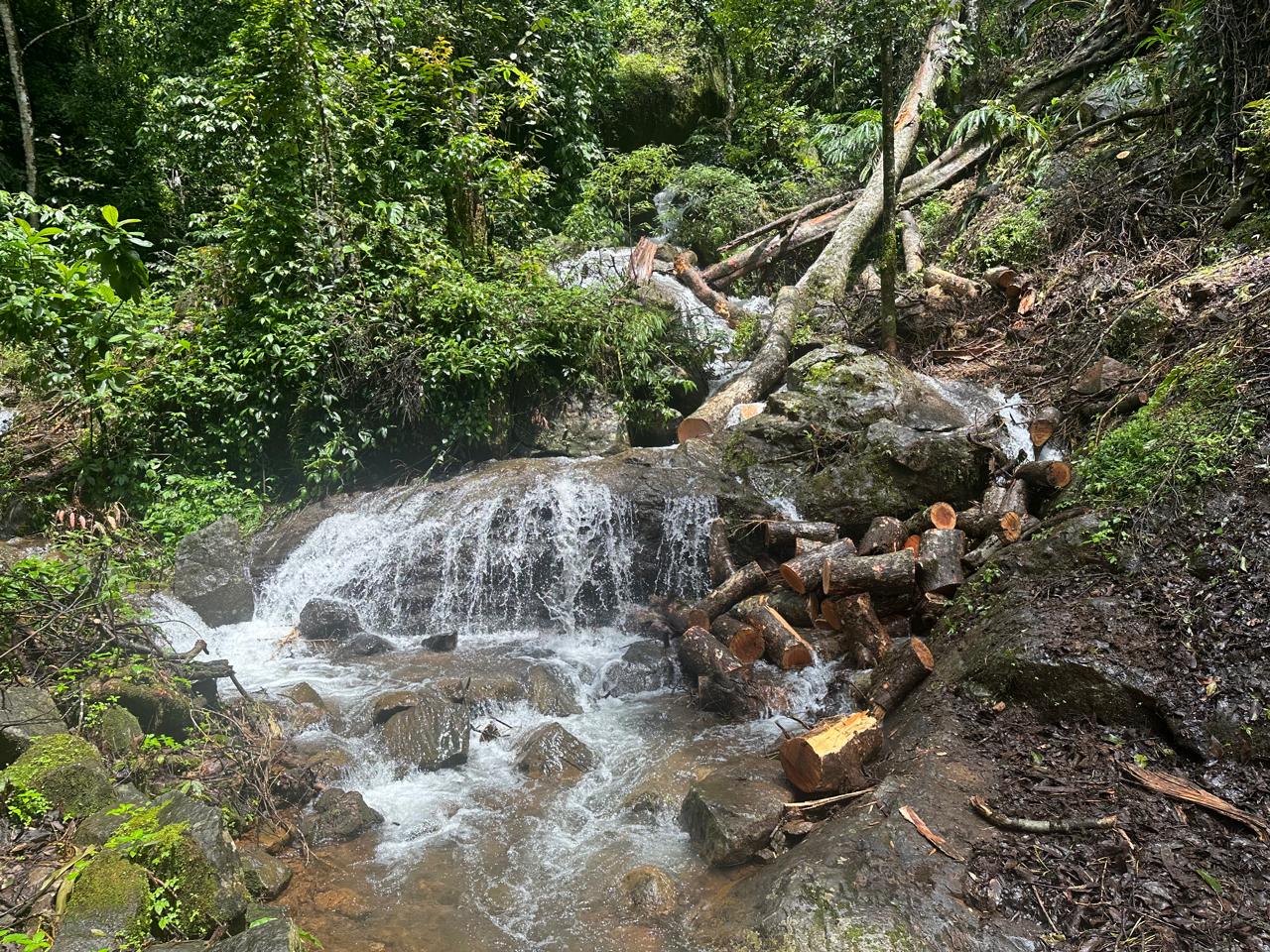 Small Image