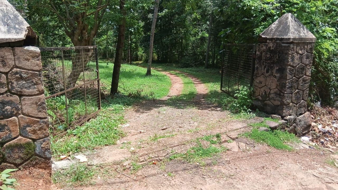 Small Image
