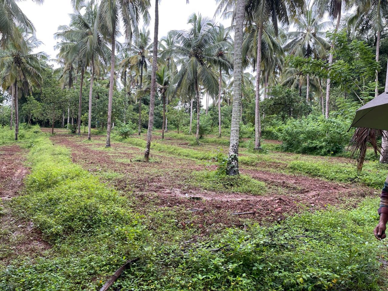 Small Image