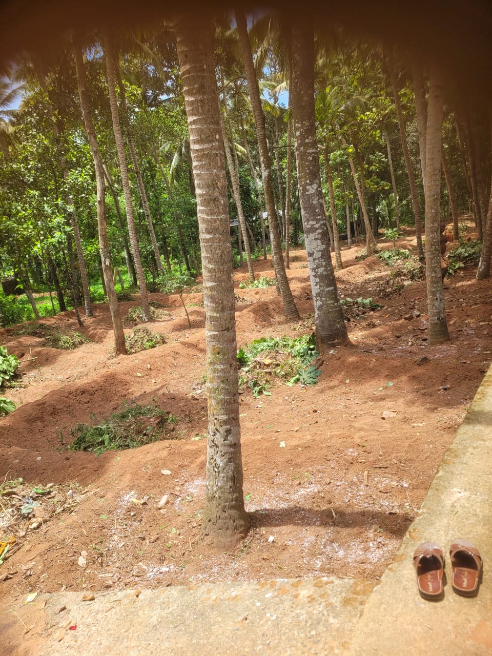 Thiruvananthapuram vizhinjam - Land for sale 