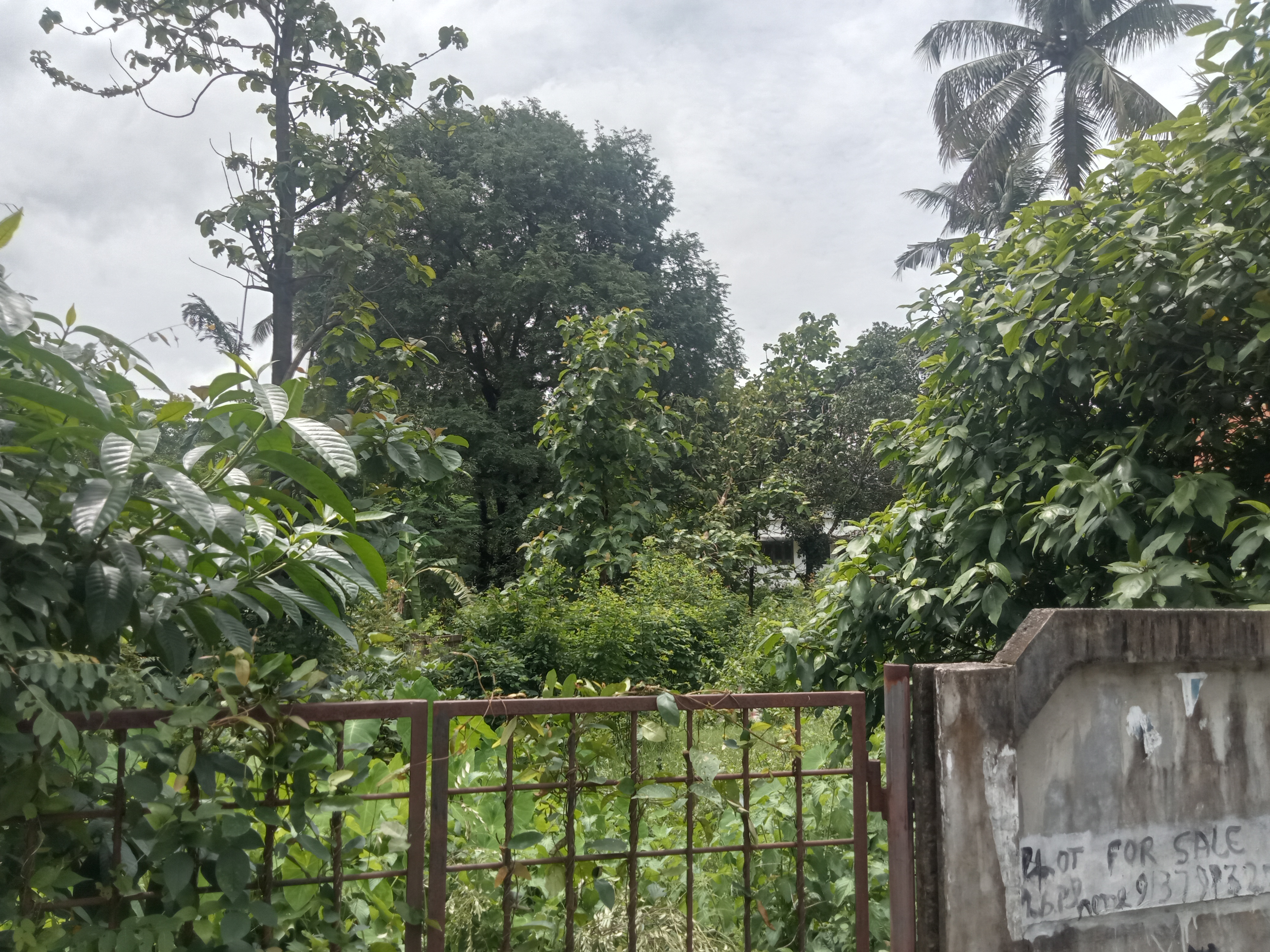 LAND FOR SALE | OLLUR | THRISSUR 