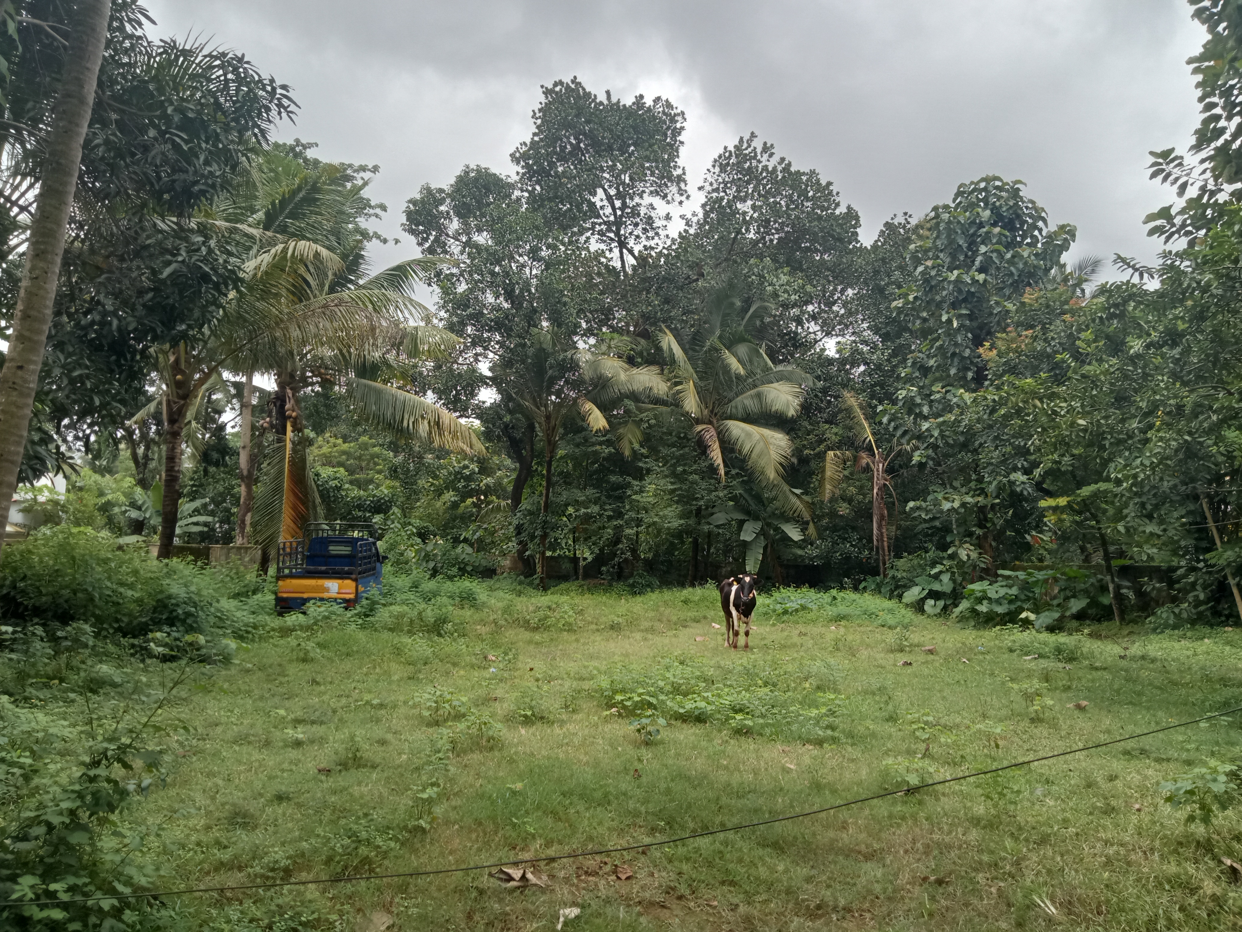 LAND FOR SALE | MANNAMPETTA , KARUVAPADY | 18 CENT 