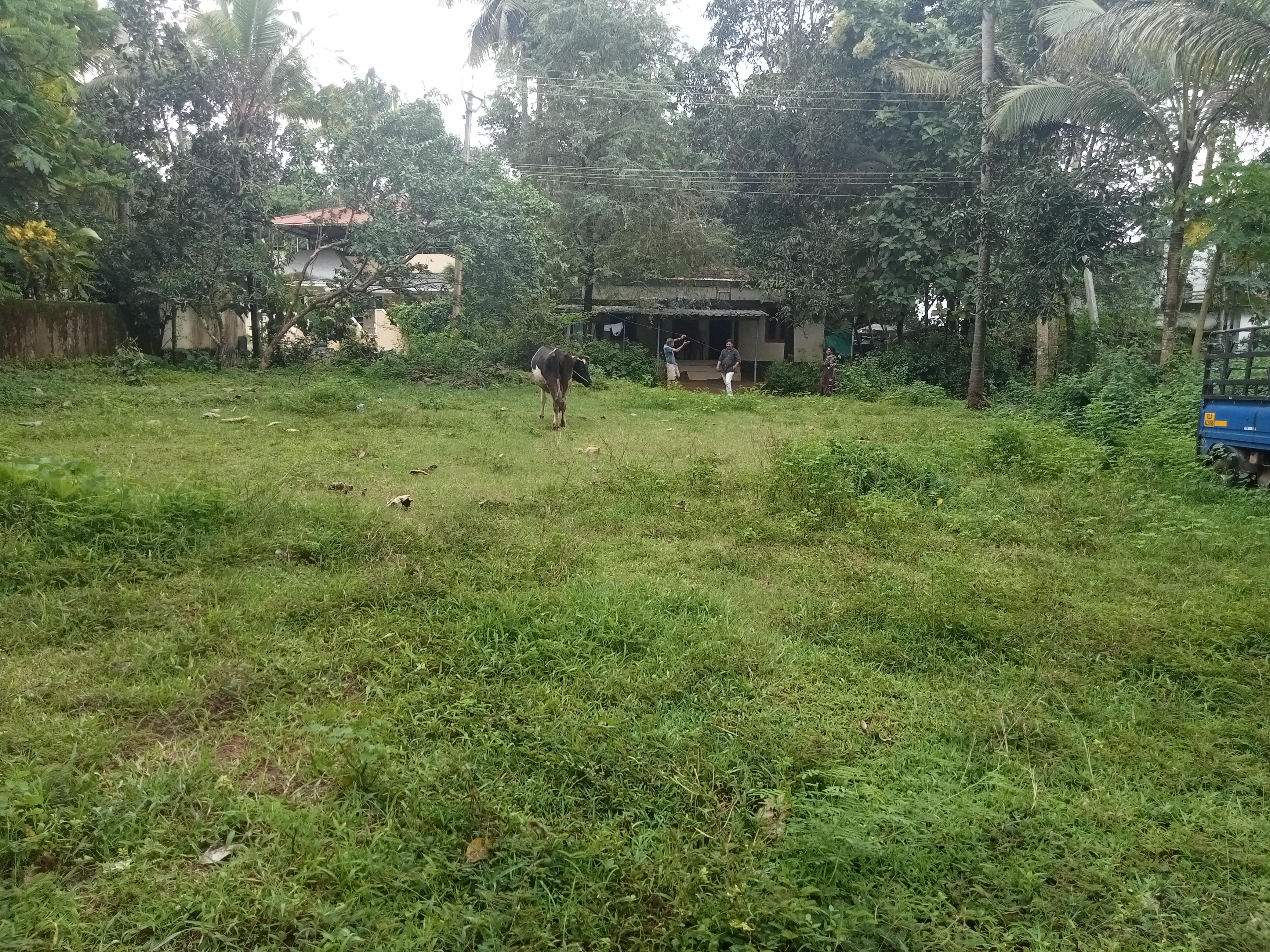 Small Image