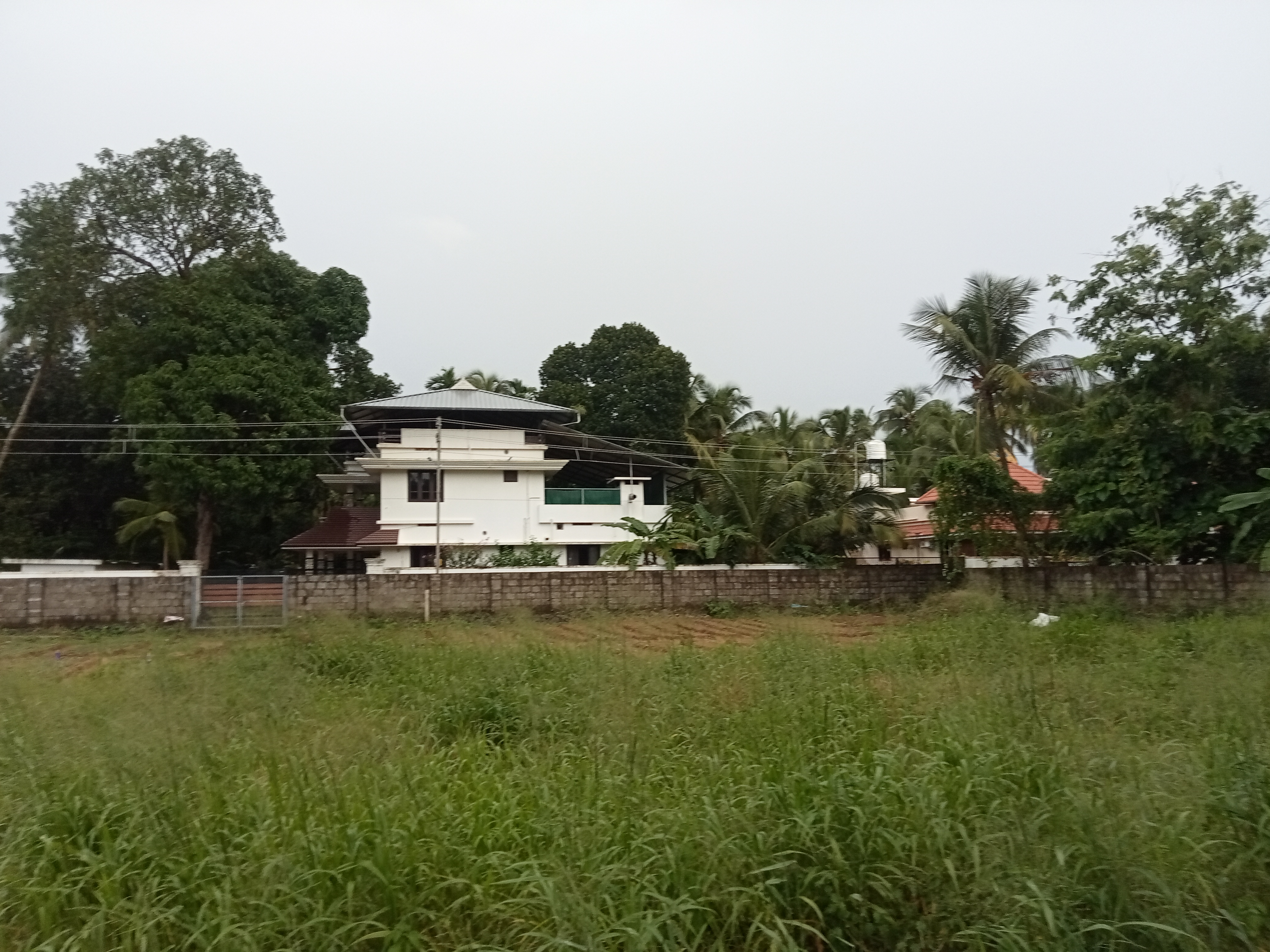 Small Image