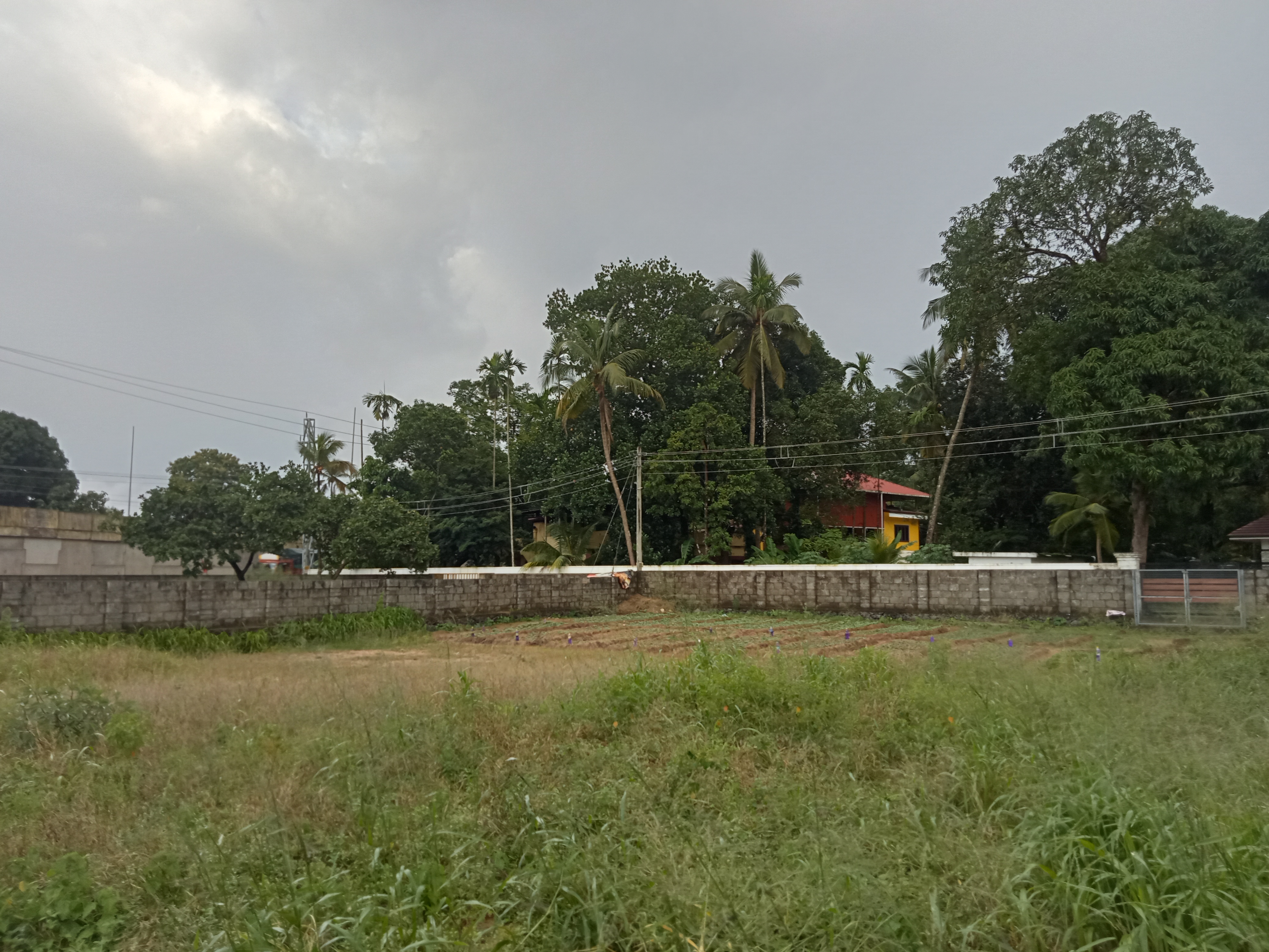 Small Image