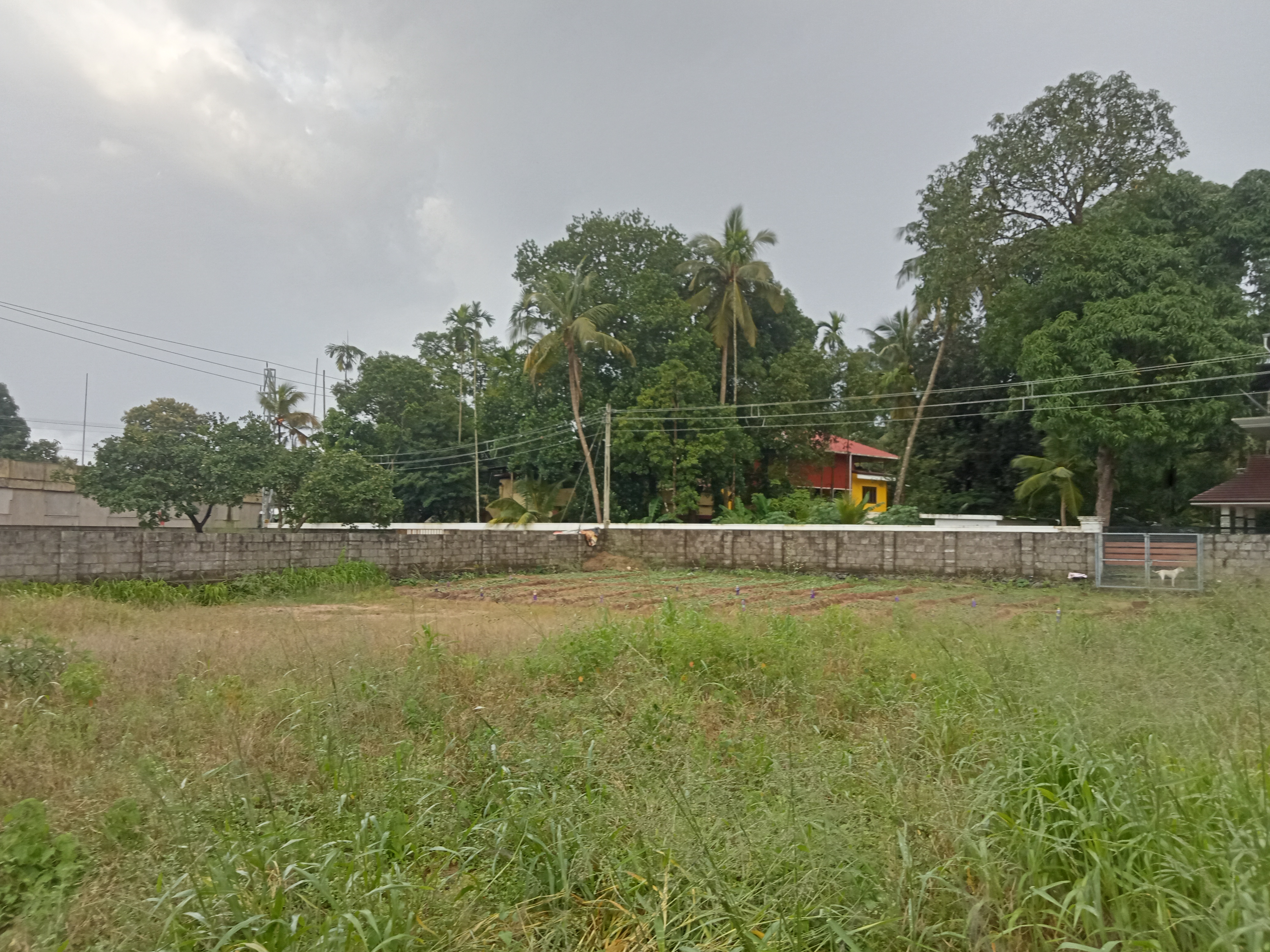 Small Image